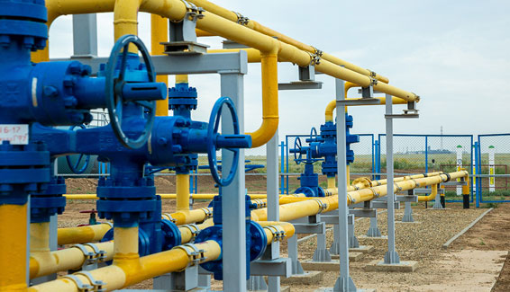 Strong Pipeline Backbone